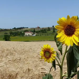 Des Camparros Nailloux